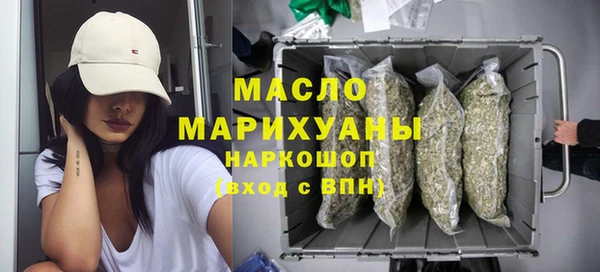 индика Тутаев
