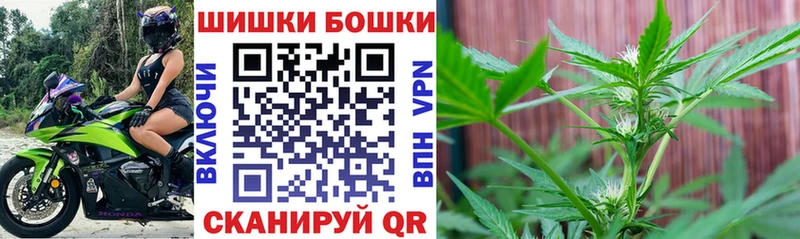 Каннабис сатива  Миасс 